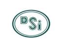 dsi logo 12